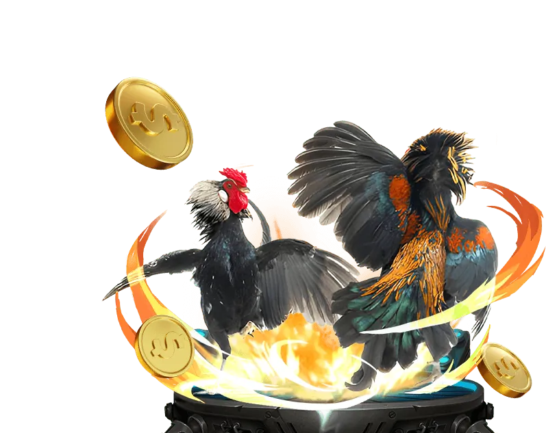 Tham gia cá cược đá gà tại UC88